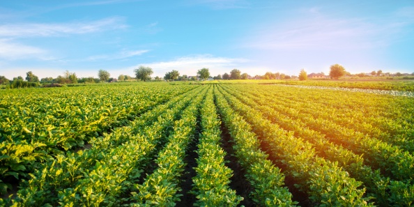 UNM Normes du mois de février 2026