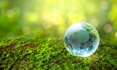 Attentes des marchés dans le domaine de l’économie circulaire