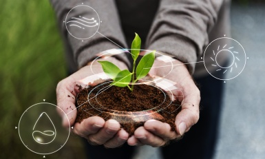 Note de veille environnement Sites – Juin, juillet, août 2024